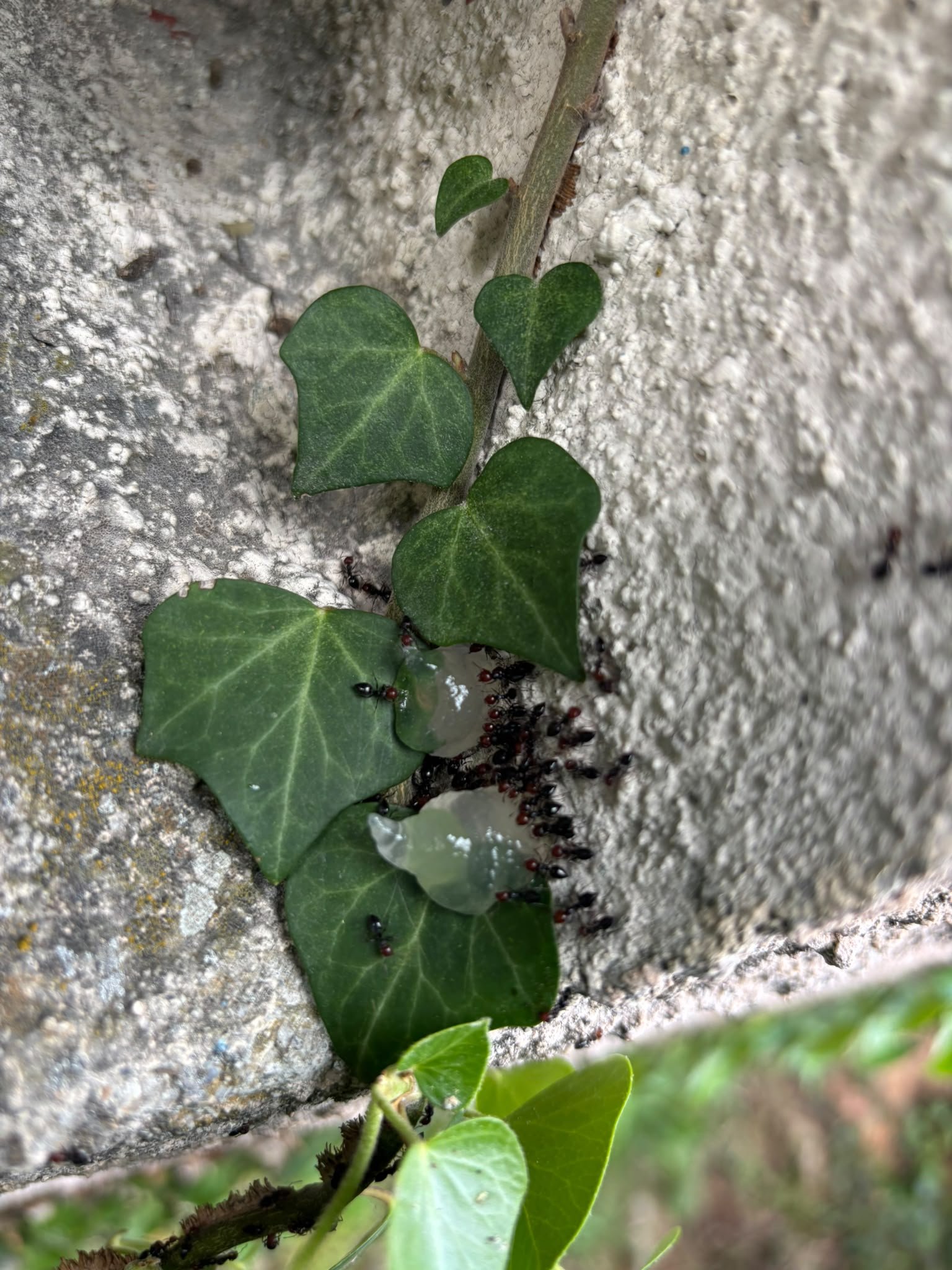 Photo d’une prestation de 3D Solutions PACA